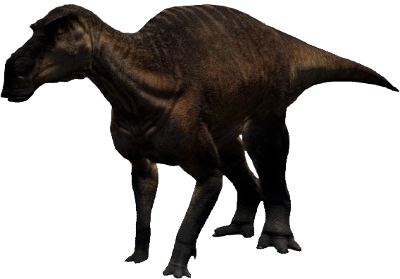 Maiasaura